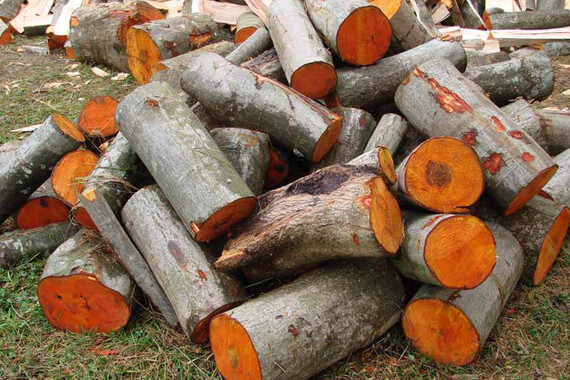 Сколько весит 1 куб дров?