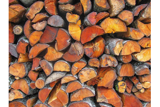 Дрова ольховые колотые 8 куб.м.