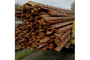 Горбыль (Обапол) - дрова из Сосны 8 куб. м.